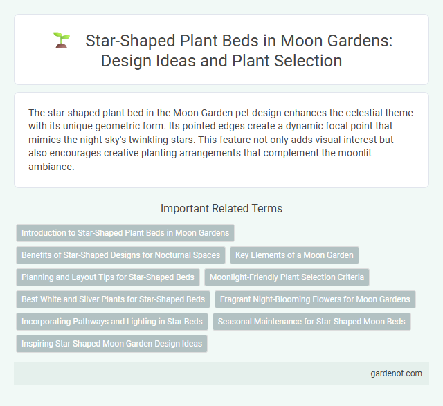 Star-Shaped Plant Beds in Moon Gardens: Design Ideas and Plant Selection