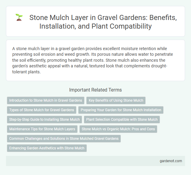 Stone Mulch Layer in Gravel Gardens: Benefits, Installation, and Plant Compatibility