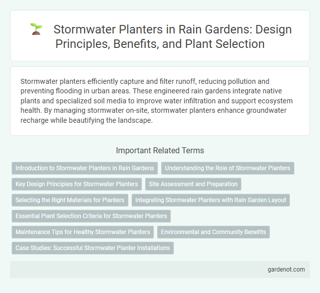 Stormwater Planters in Rain Gardens: Design Principles, Benefits, and Plant Selection