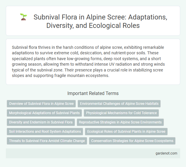 Subnival Flora in Alpine Scree: Adaptations, Diversity, and Ecological Roles