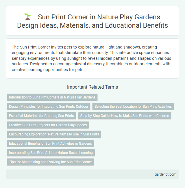 Sun Print Corner in Nature Play Gardens: Design Ideas, Materials, and Educational Benefits