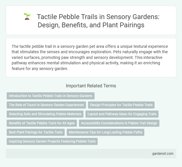 Tactile Pebble Trails in Sensory Gardens: Design, Benefits, and Plant Pairings