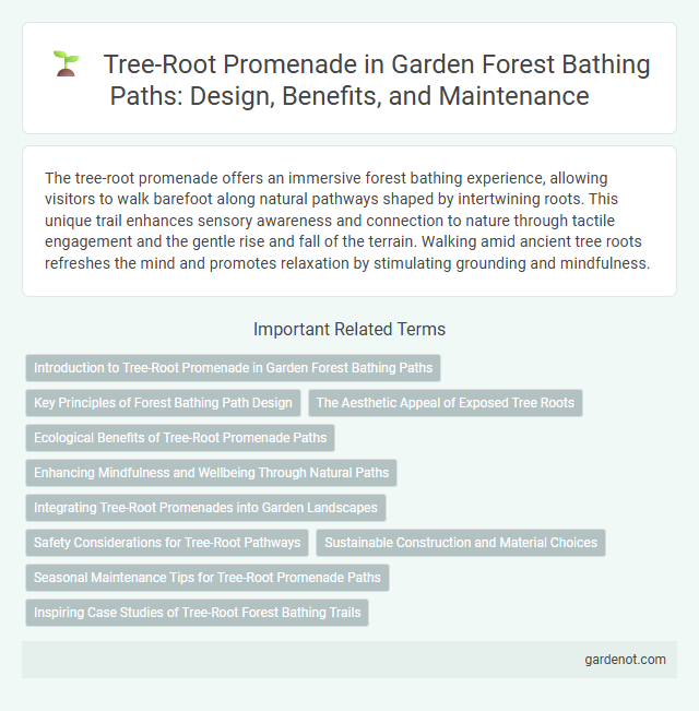 Tree-Root Promenade in Garden Forest Bathing Paths: Design, Benefits, and Maintenance