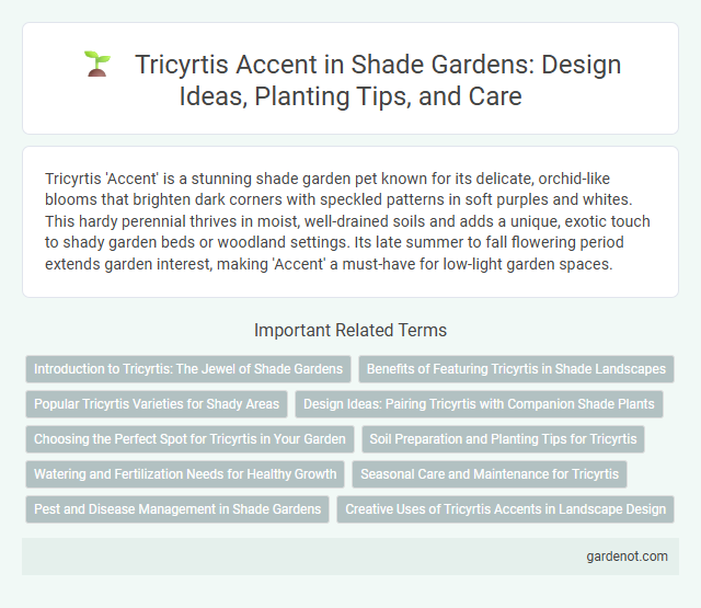 Tricyrtis Accent in Shade Gardens: Design Ideas, Planting Tips, and Care