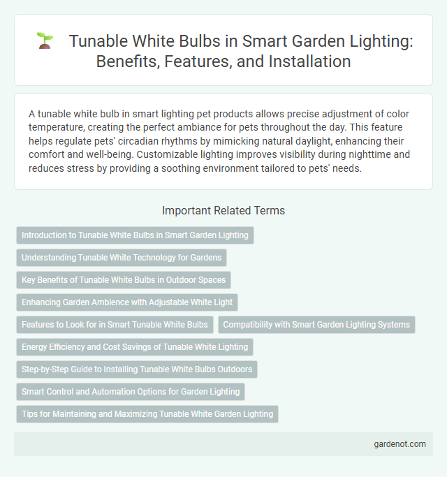 Tunable White Bulbs in Smart Garden Lighting: Benefits, Features, and Installation