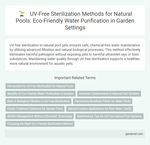 UV-Free Sterilization Methods for Natural Pools: Eco-Friendly Water Purification in Garden Settings