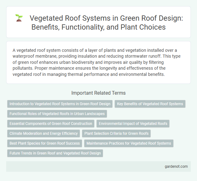 Vegetated Roof Systems in Green Roof Design: Benefits, Functionality, and Plant Choices