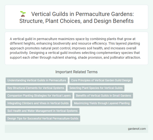 Vertical Guilds in Permaculture Gardens: Structure, Plant Choices, and Design Benefits