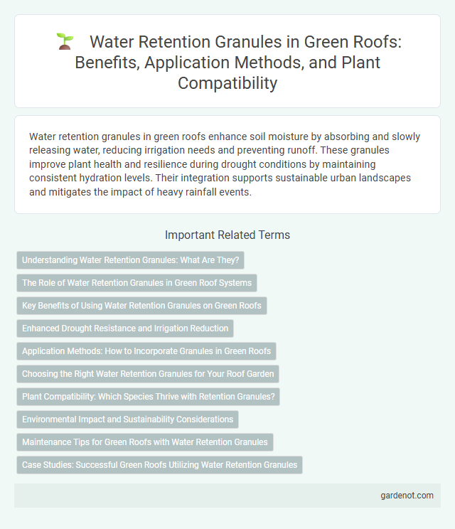 Water Retention Granules in Green Roofs: Benefits, Application Methods, and Plant Compatibility