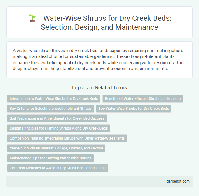 Water-Wise Shrubs for Dry Creek Beds: Selection, Design, and Maintenance