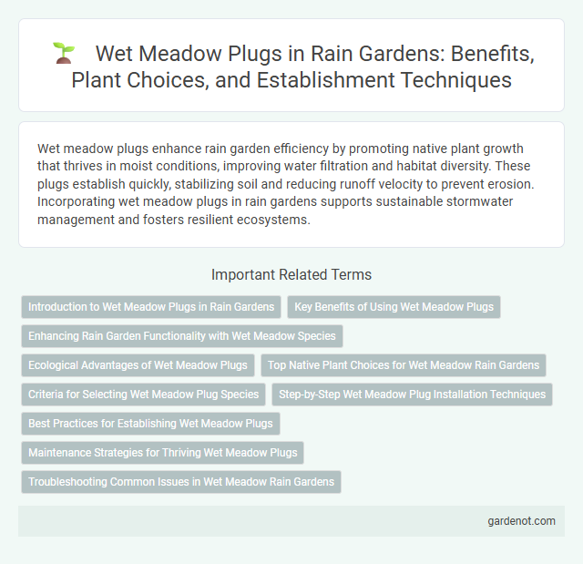 Wet Meadow Plugs in Rain Gardens: Benefits, Plant Choices, and Establishment Techniques