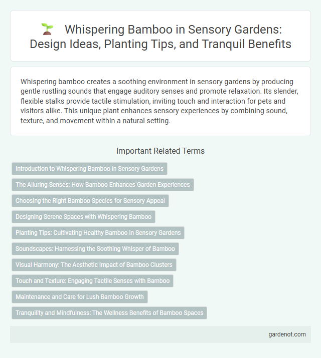 Whispering Bamboo in Sensory Gardens: Design Ideas, Planting Tips, and Tranquil Benefits