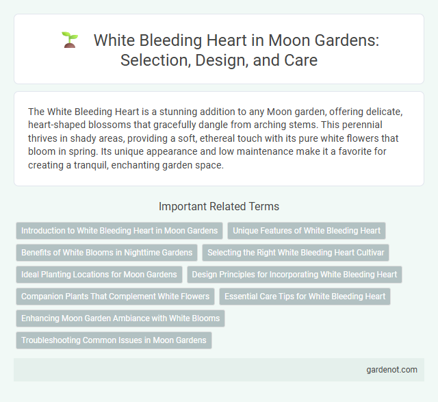 White Bleeding Heart in Moon Gardens: Selection, Design, and Care