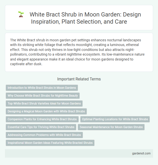 White Bract Shrub in Moon Garden: Design Inspiration, Plant Selection, and Care
