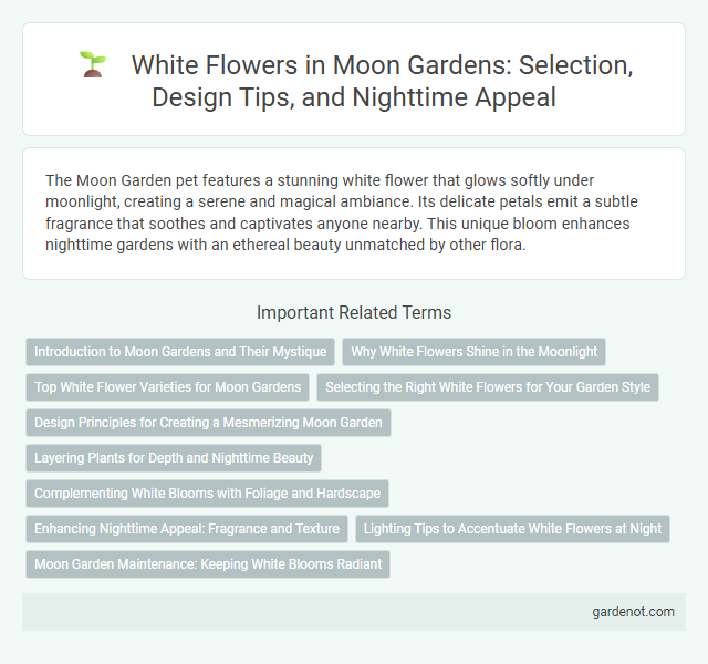 White Flowers in Moon Gardens: Selection, Design Tips, and Nighttime Appeal