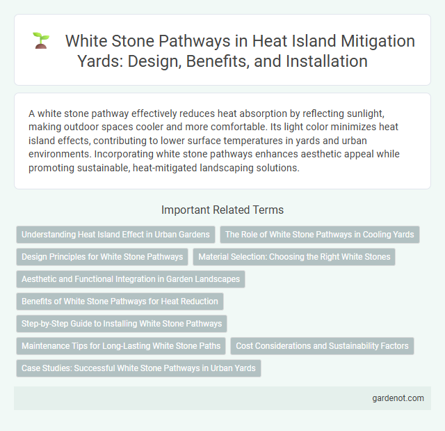 White Stone Pathways in Heat Island Mitigation Yards: Design, Benefits, and Installation