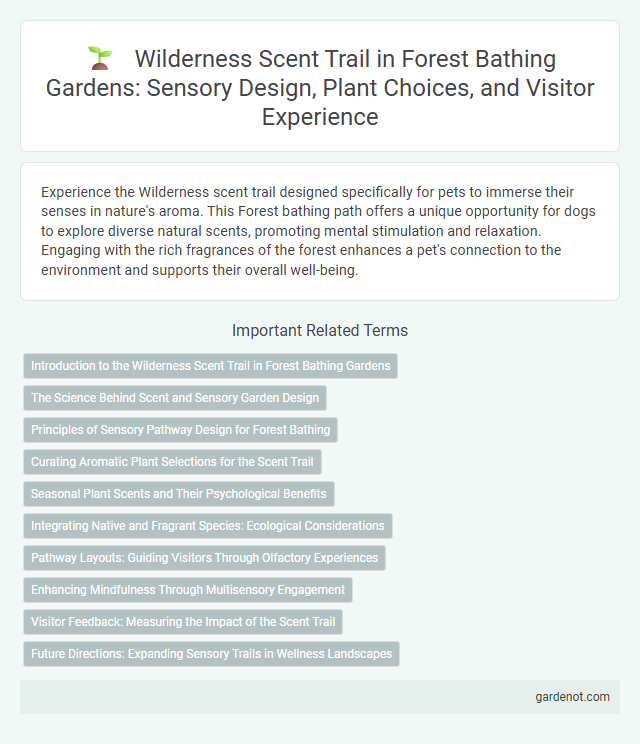 Wilderness Scent Trail in Forest Bathing Gardens: Sensory Design, Plant Choices, and Visitor Experience