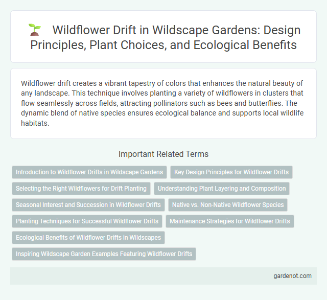 Wildflower Drift in Wildscape Gardens: Design Principles, Plant Choices, and Ecological Benefits
