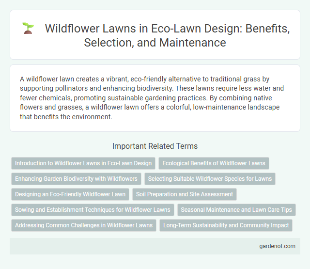 Wildflower Lawns in Eco-Lawn Design: Benefits, Selection, and Maintenance