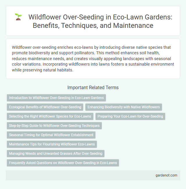 Wildflower Over-Seeding in Eco-Lawn Gardens: Benefits, Techniques, and Maintenance