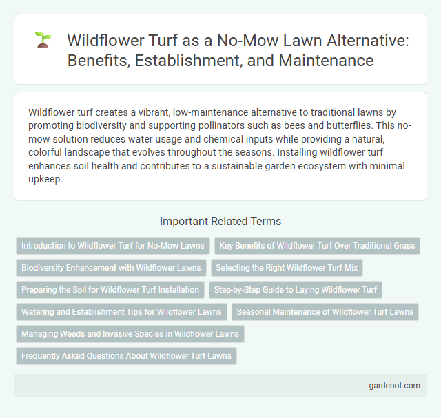 Wildflower Turf as a No-Mow Lawn Alternative: Benefits, Establishment, and Maintenance