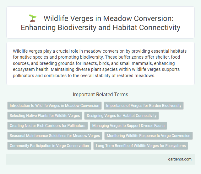 Wildlife Verges in Meadow Conversion: Enhancing Biodiversity and Habitat Connectivity