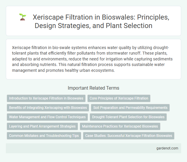 Xeriscape Filtration in Bioswales: Principles, Design Strategies, and Plant Selection