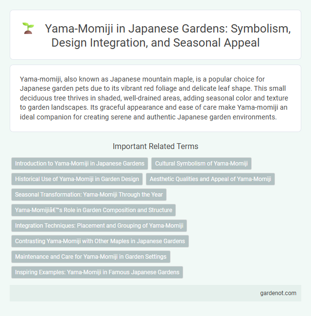 Yama-Momiji in Japanese Gardens: Symbolism, Design Integration, and Seasonal Appeal