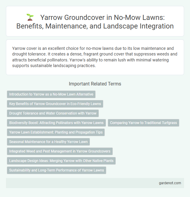 Yarrow Groundcover in No-Mow Lawns: Benefits, Maintenance, and Landscape Integration