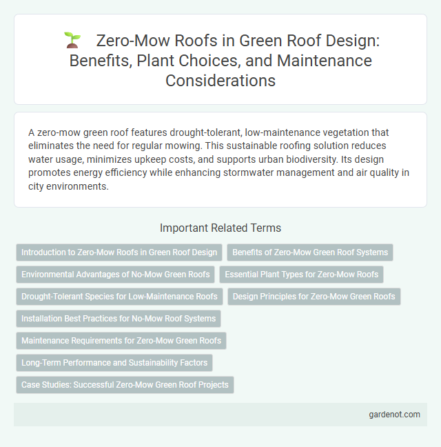 Zero-Mow Roofs in Green Roof Design: Benefits, Plant Choices, and Maintenance Considerations